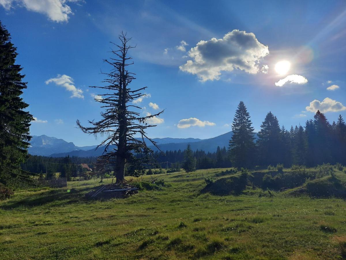 Etno House Momcilo Villa Zabljak  Luaran gambar
