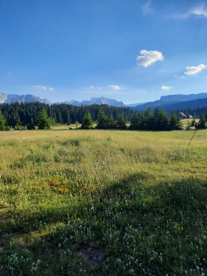 Etno House Momcilo Villa Zabljak  Luaran gambar