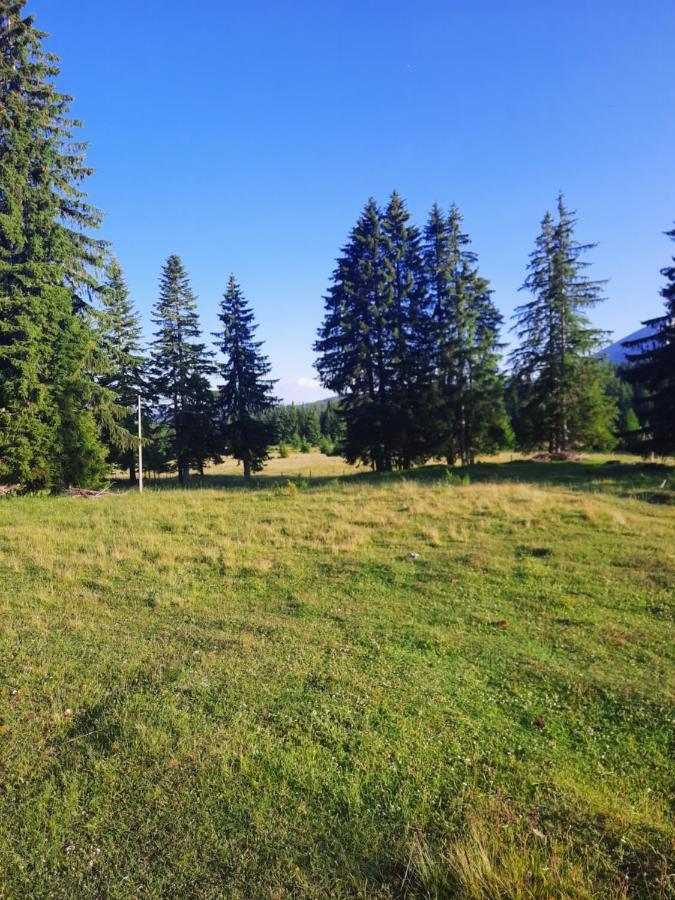 Etno House Momcilo Villa Zabljak  Luaran gambar