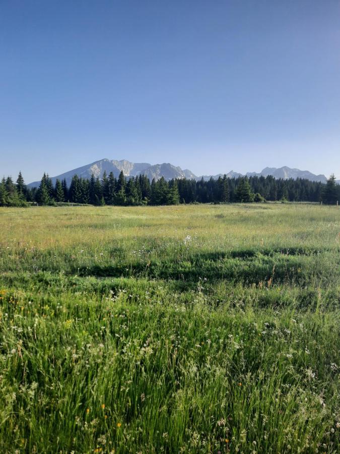Etno House Momcilo Villa Zabljak  Luaran gambar